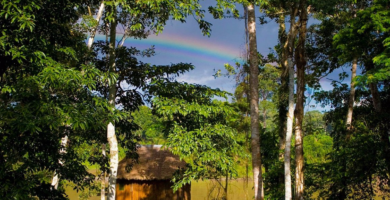 Tambopata Lodge