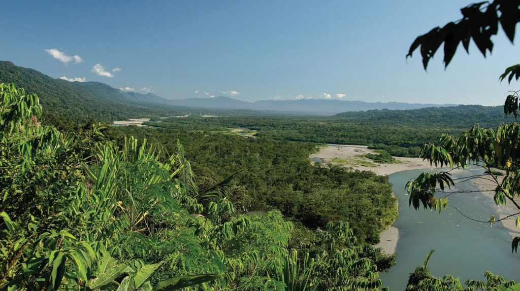the manu national park ecosystem