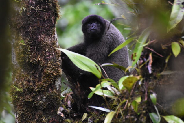 Manu 8 Dias y 7 Noches