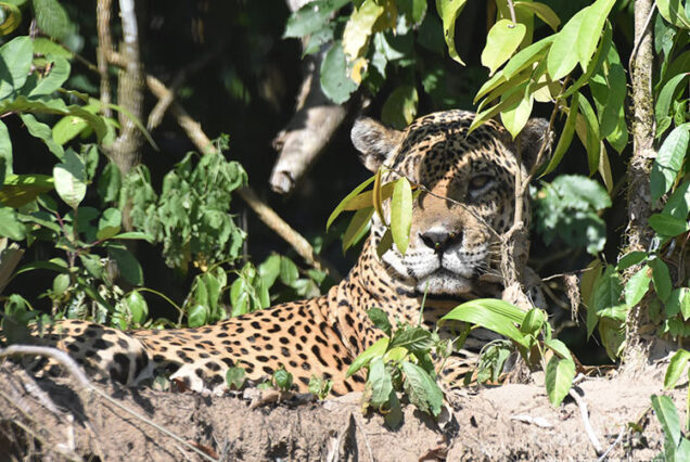 Manu 6 Dias y 5 Noches